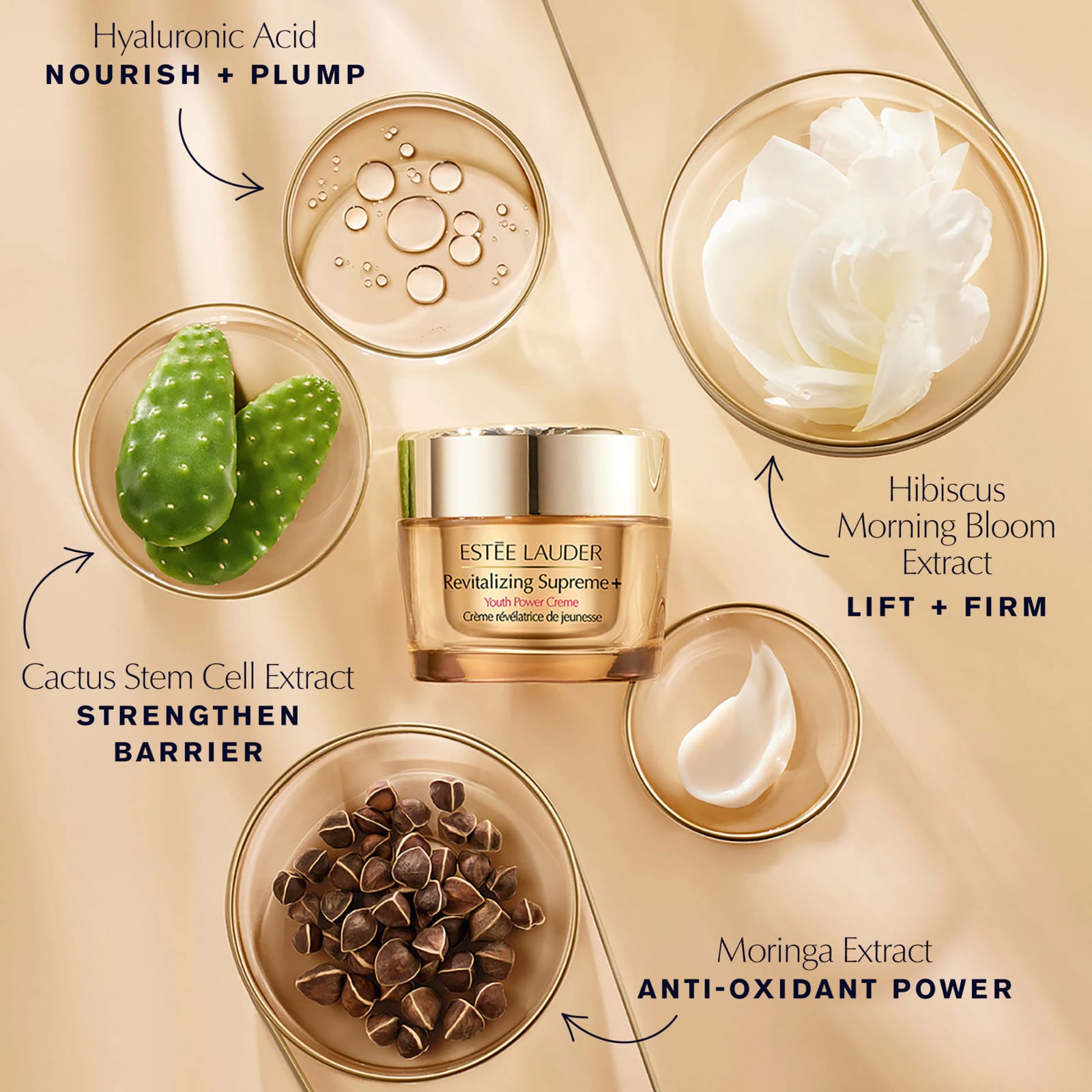 Estée Lauder Revitalizing Supreme+ Youth Power Creme